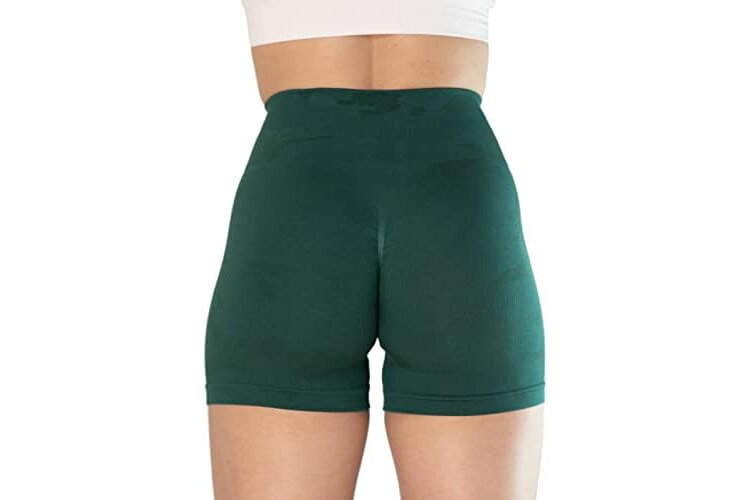 AUROLA Workout Shorts for Women Seamless Soft Smooth Gym Yoga Stretch  Active Shorts - Bitgree
